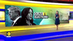 Why gun laws are not an issue on the Presidential election ballot