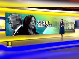 Why gun laws are not an issue on the Presidential election ballot