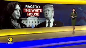 Dr Allan Lichtman: Harris to win against Donald Trump in November US elections