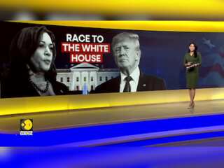 Dr Allan Lichtman: Harris to win against Donald Trump in November US elections