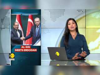 Egypt's Al-Sisi meets Turkish President