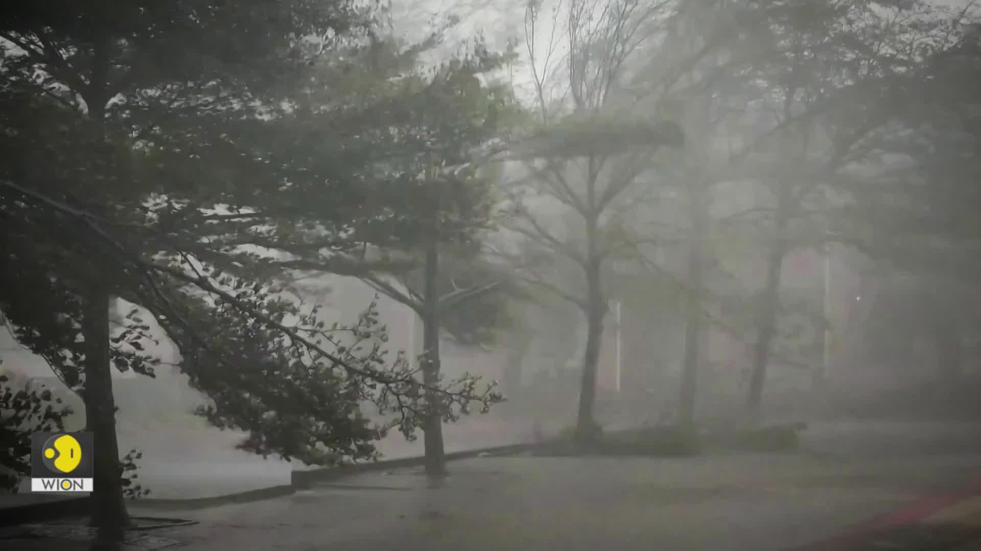 Typhoon Yagi: Dozens killed in Vietnam from intense flooding