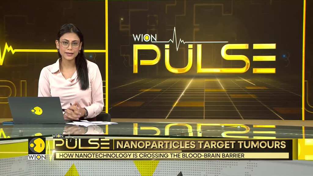 Nanoparticles: From science fiction to medical reality