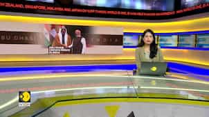 Abu Dhabi's Crown Prince in India: Al Nahyan meets PM Narendra Modi in Delhi
