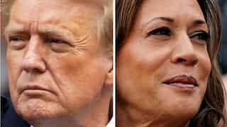 US polls forecast: Expert with near-perfect presidential election predictions says THIS candidate 'will win'