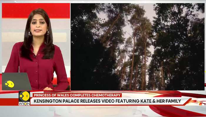 Princess of Wales to resume public duties as chemotherapy gets over