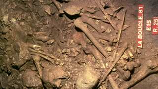 Mass grave in French cave has too many males, too few females. Why?