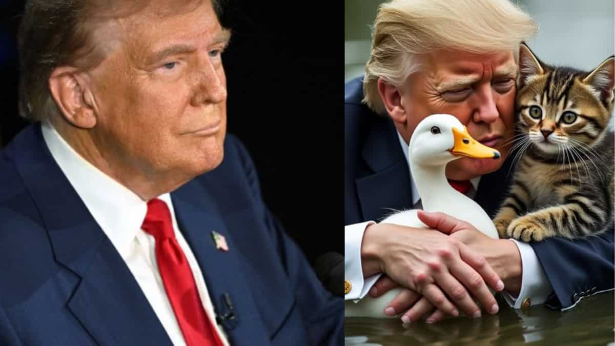 Trump claims Haiti migrants are 'eating dogs, cats'. Musk and Vance believe him