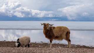 After over 4,000 years apart, Tibet's largest lake spills into nearby water body. Here's why