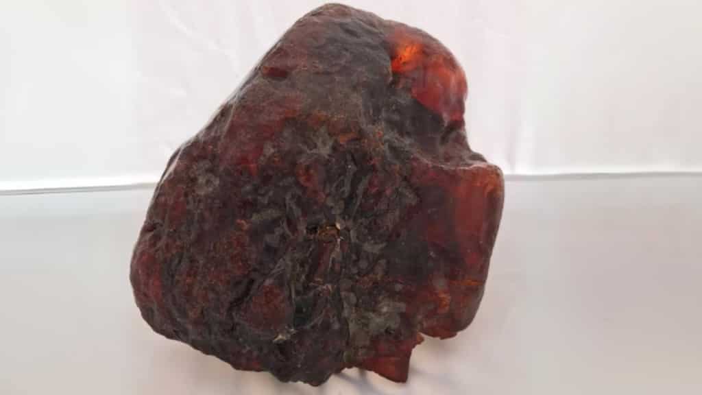 Doorstop turns out to be huge chunk of amber worth over a million dollars