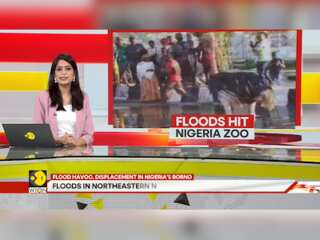 Nigeria: Thousands displaced as capital Maiduguri submerged in floods