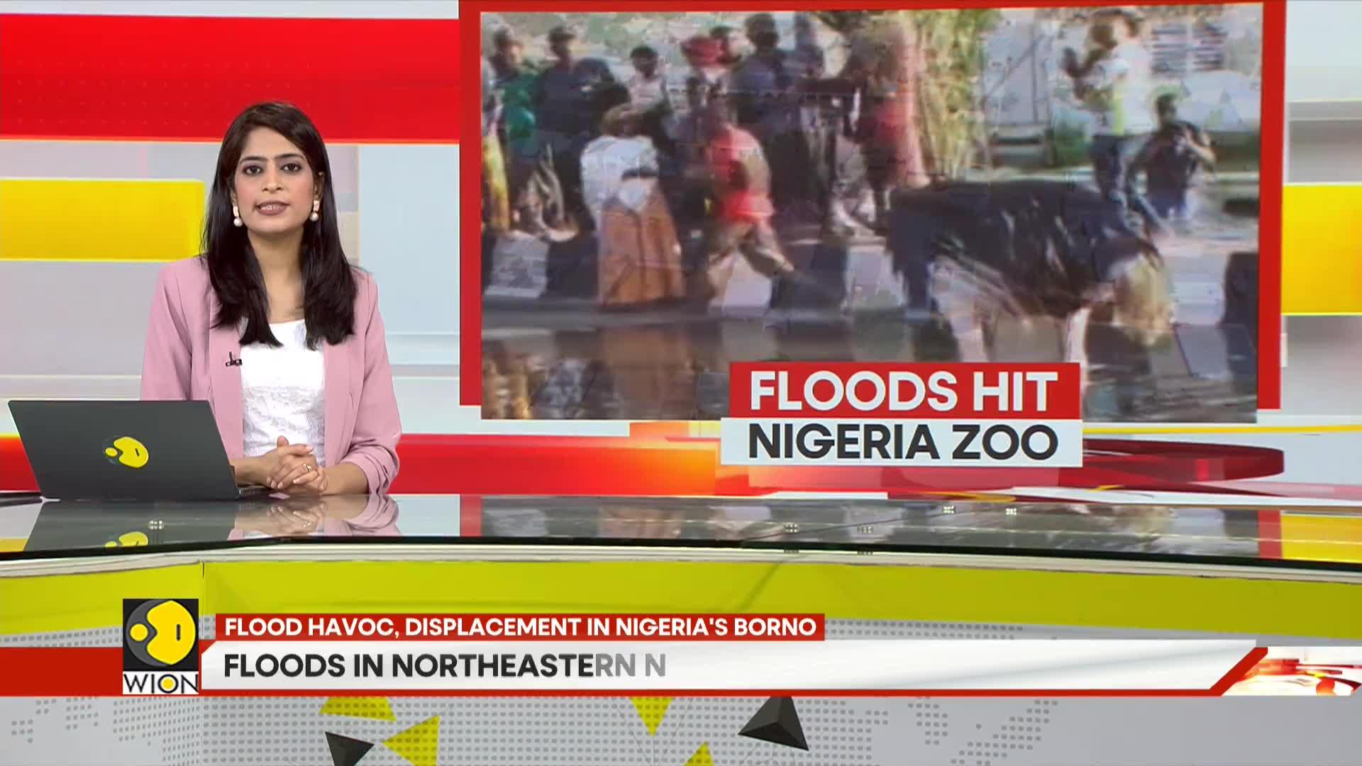 WionNews Video