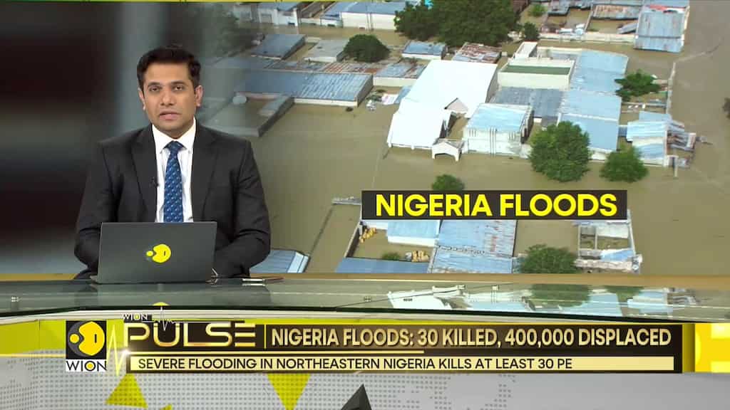 Nigeria floods: Animals escape after water destroys zoo
