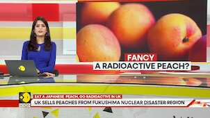 Radioactive Peaches: UK sells peaches from Fukushima nuclear disaster region