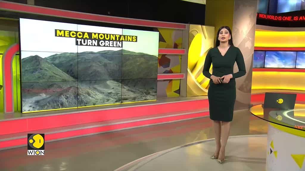 Mountains in Makkah turn green after heavy rainfall