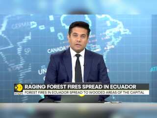 Forest Fire: Out of control fire ravages Ecuador's forests
