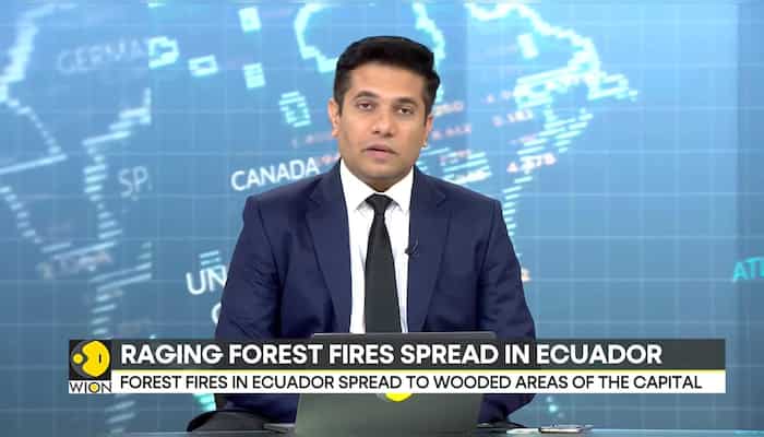 Forest Fire: Out of control fire ravages Ecuador's forests