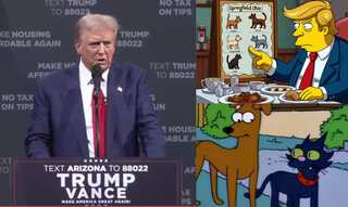 Did The Simpsons predict Donald Trump 'they’re eating the dogs' comment?
