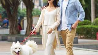 China is expected to have more pets than offspring, which has become a headache for Beijing