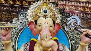Indian billionaire shares video of 'unequal treatment' at Mumbai's Lalbaugcha Raja