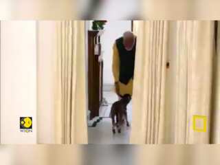 Indian PM Modi welcomes new born calf 'Deepjyoti' at his residence in New Delhi
