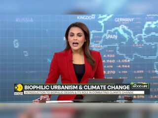 Biophilic design: A green solution