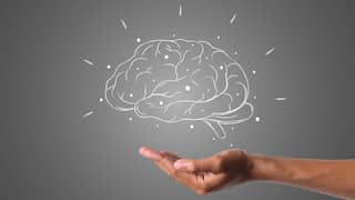 Human brains do not differentiate between names and pronouns of people: Study
