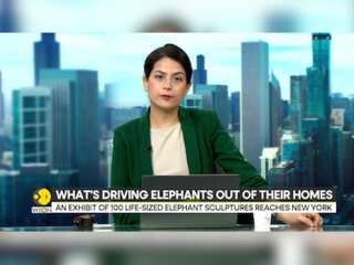 'The Great Elephant Migration' reaches New York