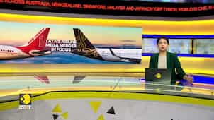 Air India-Vistara merger: Vistara and Air India to fly as one carrier starting November 12