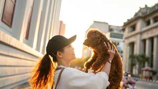 Brains of humans and dogs can sync with each other. Study explains how