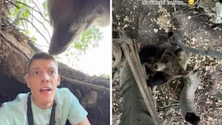 Watch: Man enters bear den, finds frightening beast back home. Here's what happens next