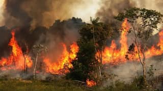Extreme weather to impact 70 per cent of humans in next 20 years, reveals study