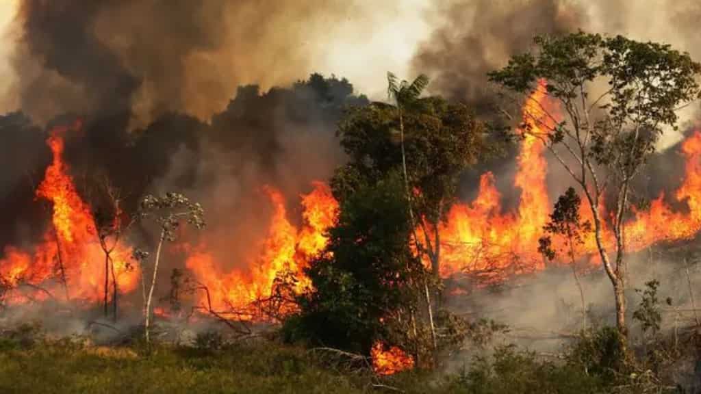 Extreme weather to impact 70 per cent of humans in next 20 years, reveals study