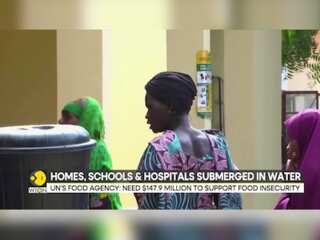 Nigerian Flood Victims Desperately Wait For Medical Help After Outbreak Of Waterborne Disease