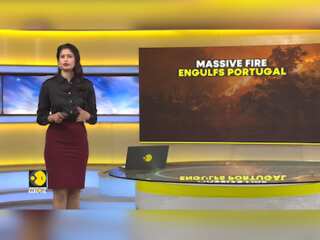 Portugal: Thousands of firefighters battle 'raging' wildfires