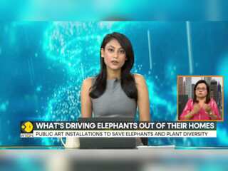 'The Great Elephant Migration' reaches New York