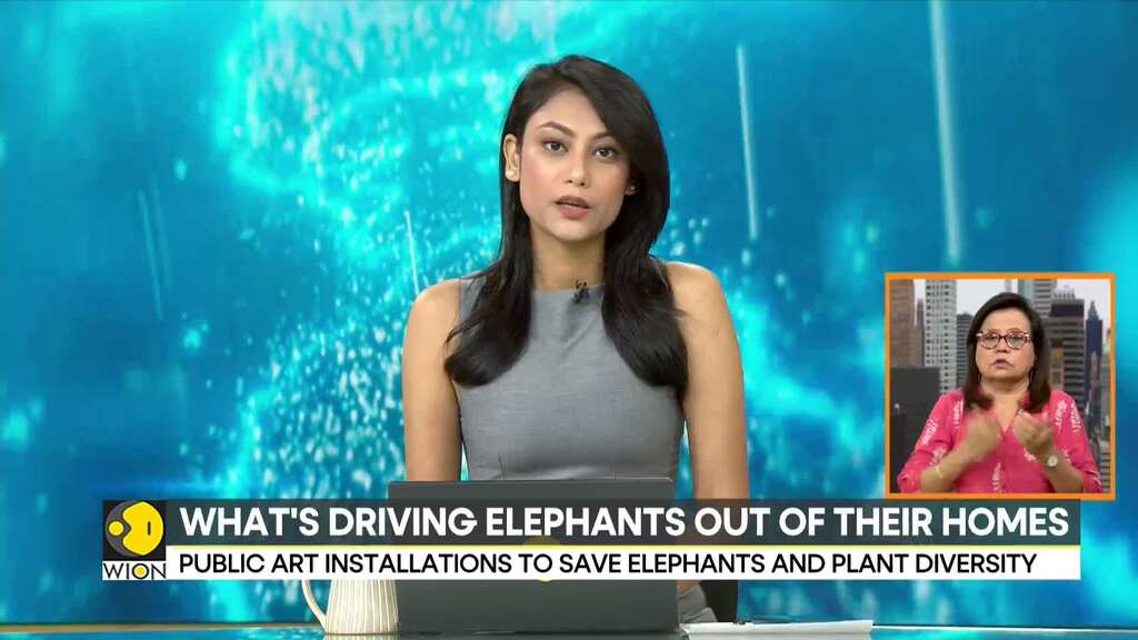 'The Great Elephant Migration' reaches New York