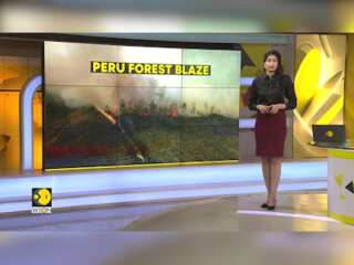 Peru Forest Fires: 98 others injured as a result of the fires