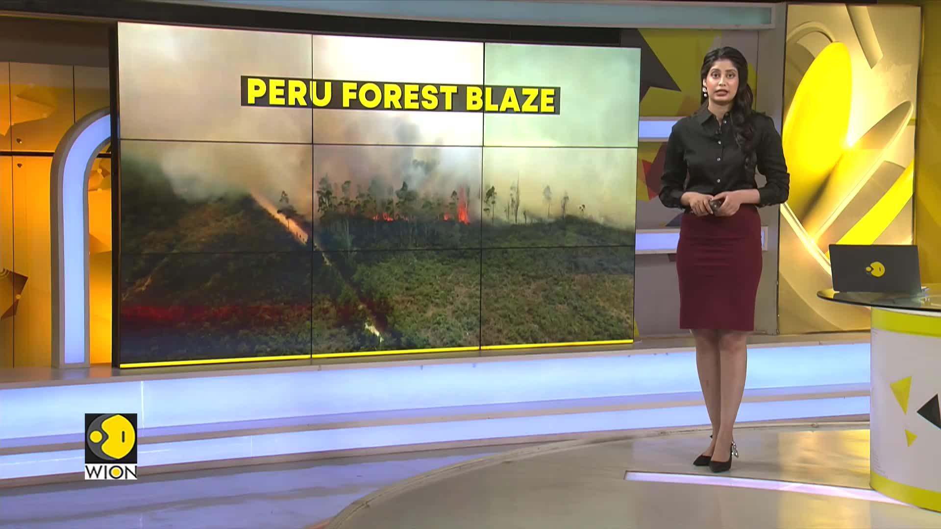 WionNews Video