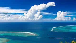 Will Pacific Ocean be filled with iron by 2026? Here's what scientists are planning