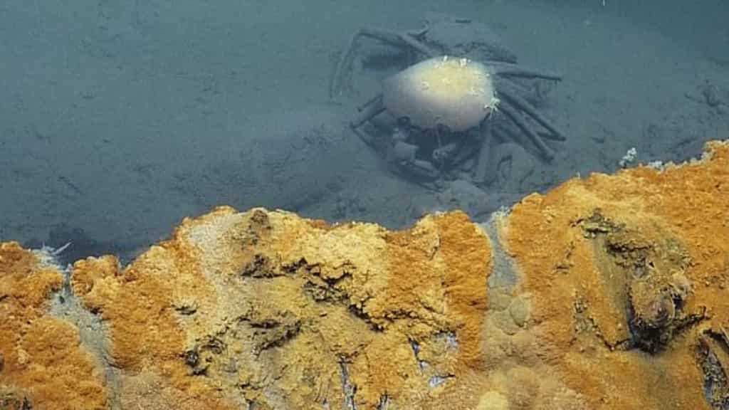 Hidden under Mexico is bottomless 'Hot Tub of Despair' pool which instantly kills what swims into it