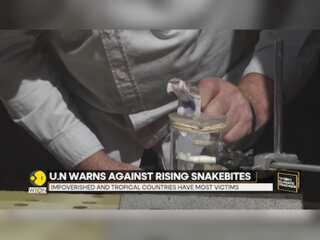 Climate Change A Culprit In Rising Snakebites, U.N. Warns Against It