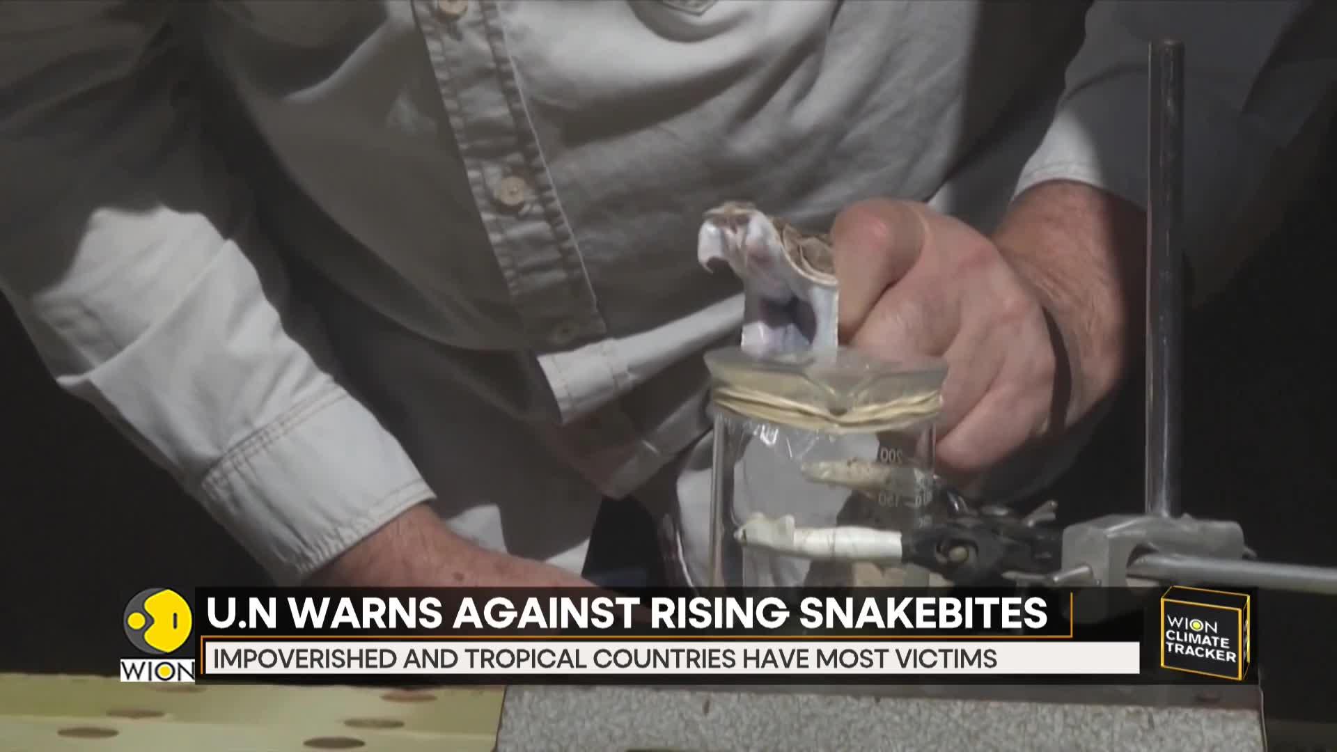 Climate Change A Culprit In Rising Snakebites, U.N. Warns Against It