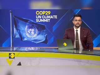 Azerbaijan introduces voluntary climate actions in COP29