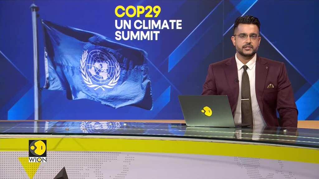 Azerbaijan introduces voluntary climate actions in COP29