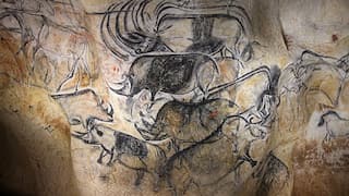 Woolly rhino mummy found in Russian Far East confirms a feature seen in cave art