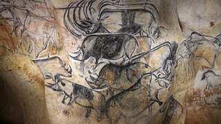 Woolly rhino mummy found in Russian Far East confirms a feature seen in cave art