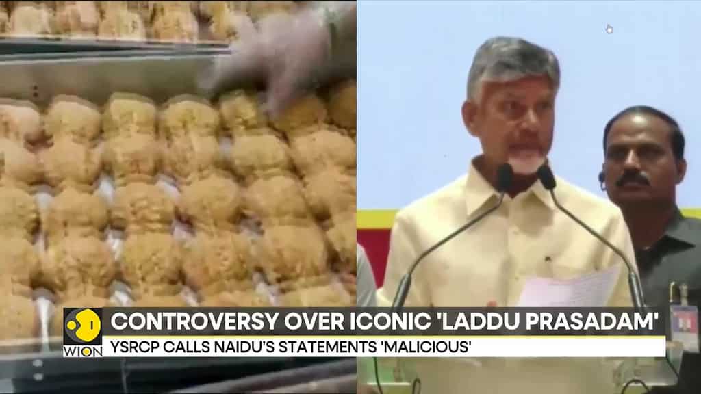 Chandrababu Naidu Alleges Animal Fat In Tirupati Laddoo, YSR Congress Refutes Claim