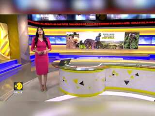 Climate change and food security in Africa