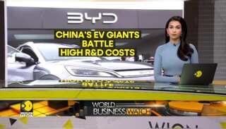 China's EV industry faces global expansion hurdles